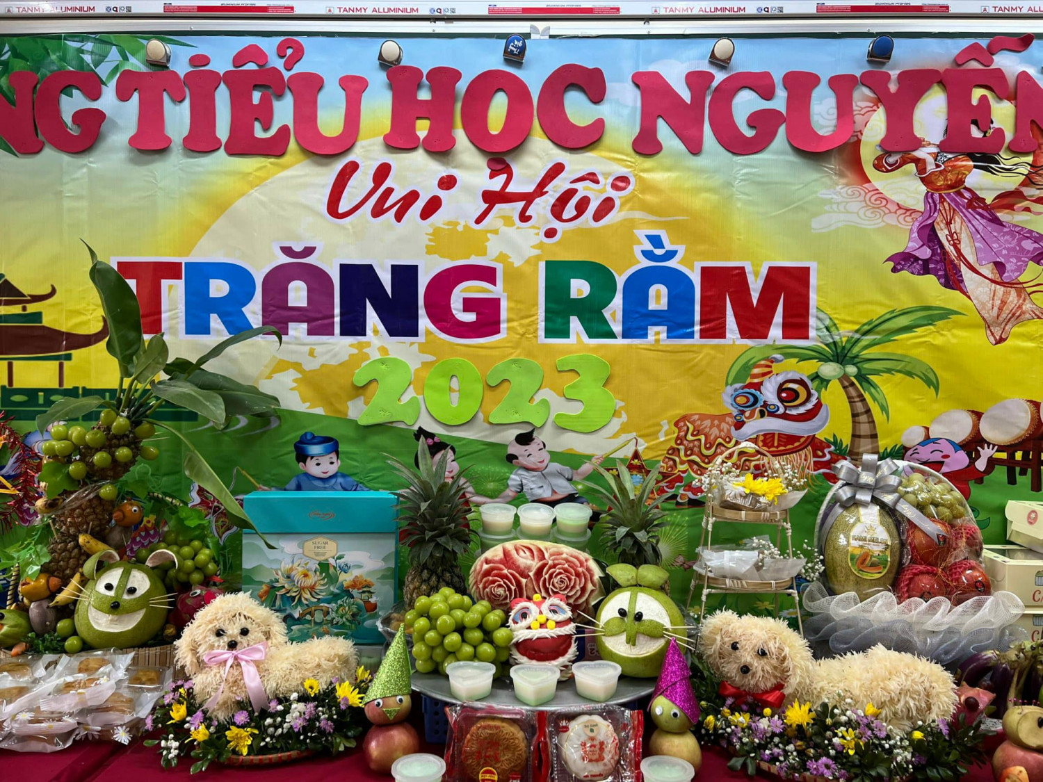 385069313 328618716351781 6893676995990946532 n