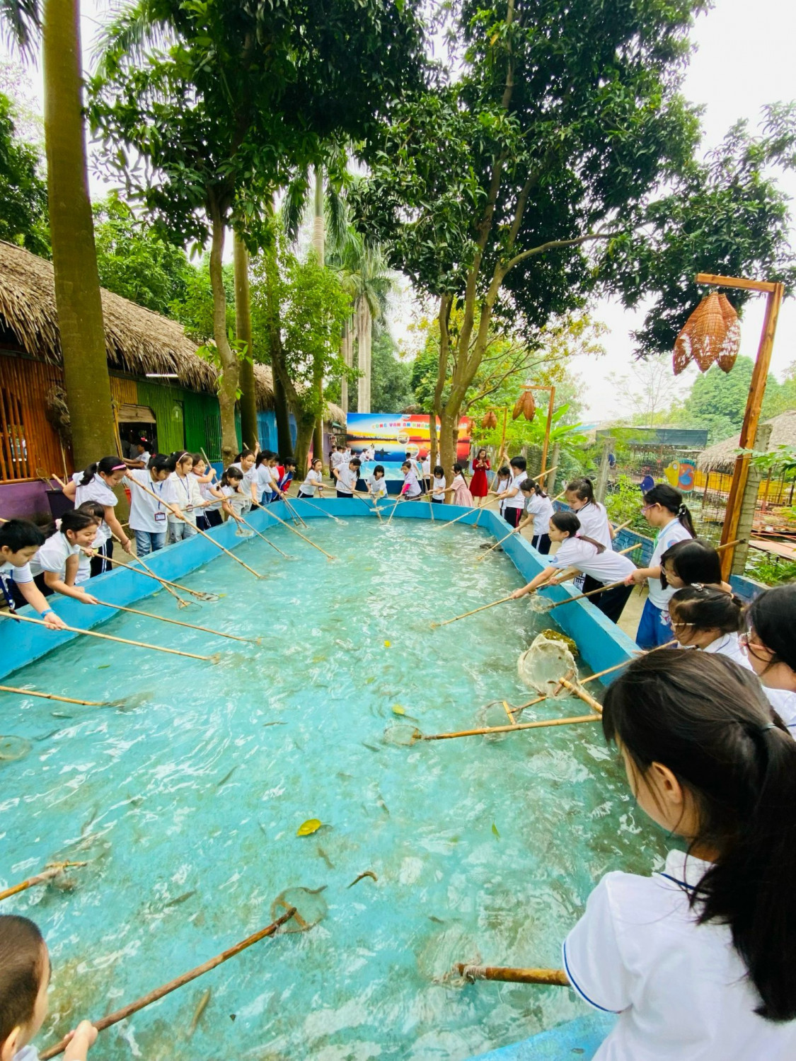 z4963475300671 ddff9a2457f8e41552a47d74da3bcc7d